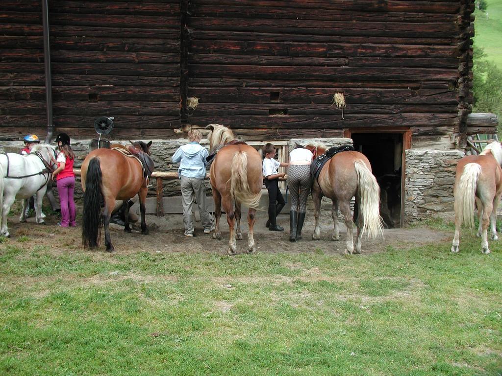 Familienparadies Wolfgangbauer Heiligenblut Luaran gambar